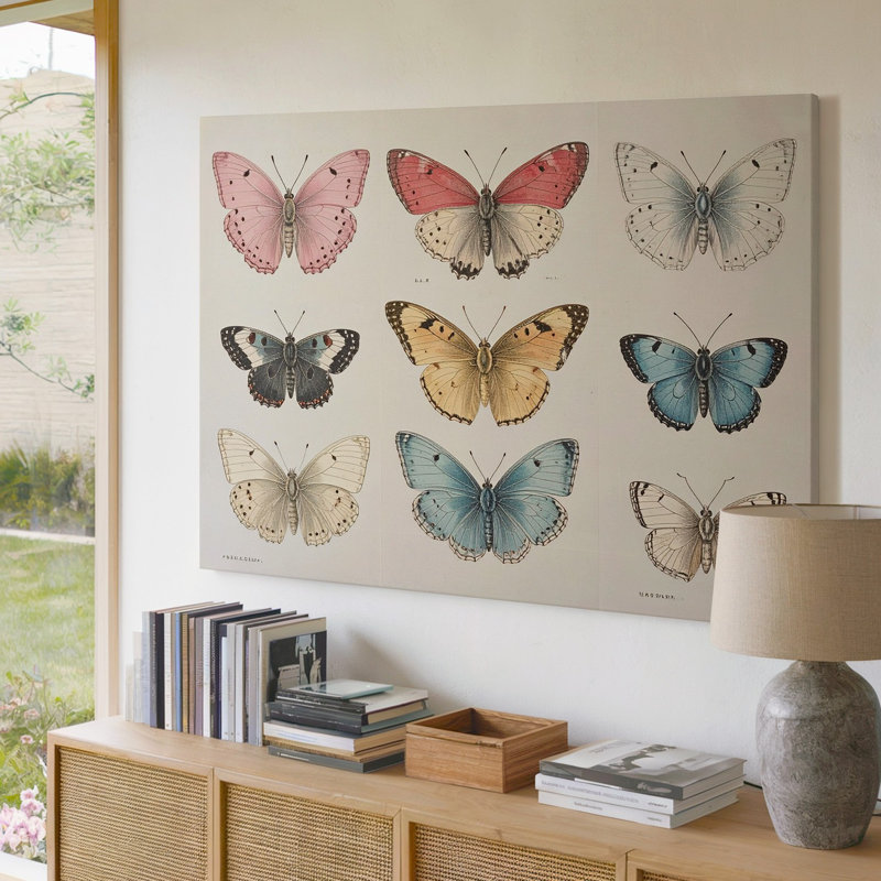 Une délicate toile de style scientifique illustrant une collection de papillons disposés de qualité supérieure prête à être accrochée