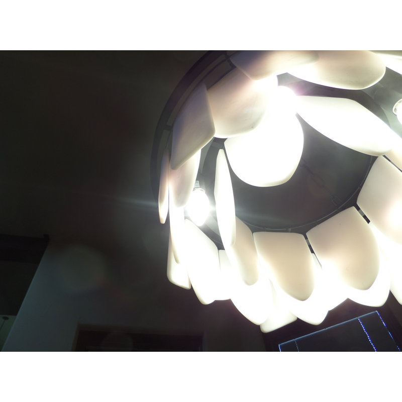 Lustree tambour 6 lumières ombrée Reasor