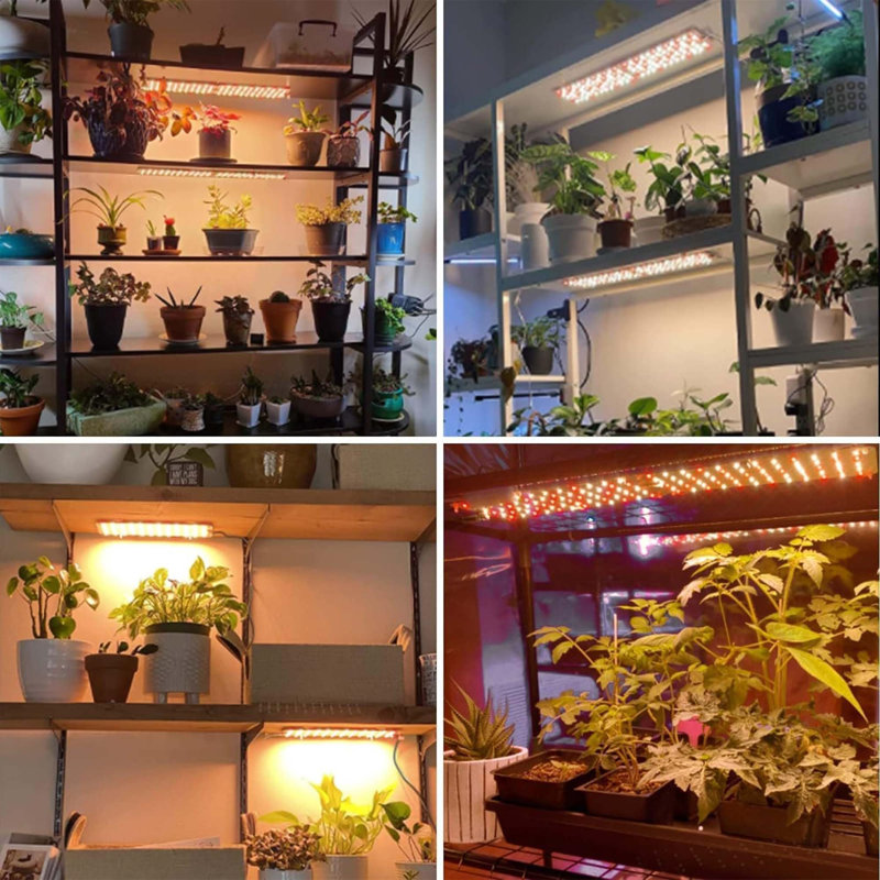 Maker Network Grow Light