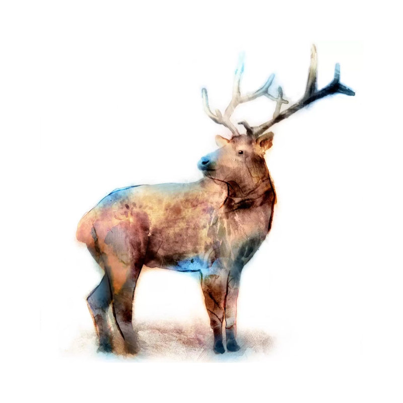 Elk 1 Piece Wrapped Canvas Painting, 30.48 cm H x 30.48 cm W