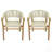 Outdoor Accent Chair(Set Of 2)-1042835666