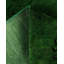 Tapis unique en laine 3 pi x 5 pi 2 po Sebashtian
