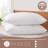 Forbestown Medium Pillow-1959988299