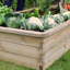 Kyler Raised Garden Bed-715114534
