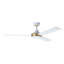 Ventilateur de plafond blanc Wodina-202509538-202509560