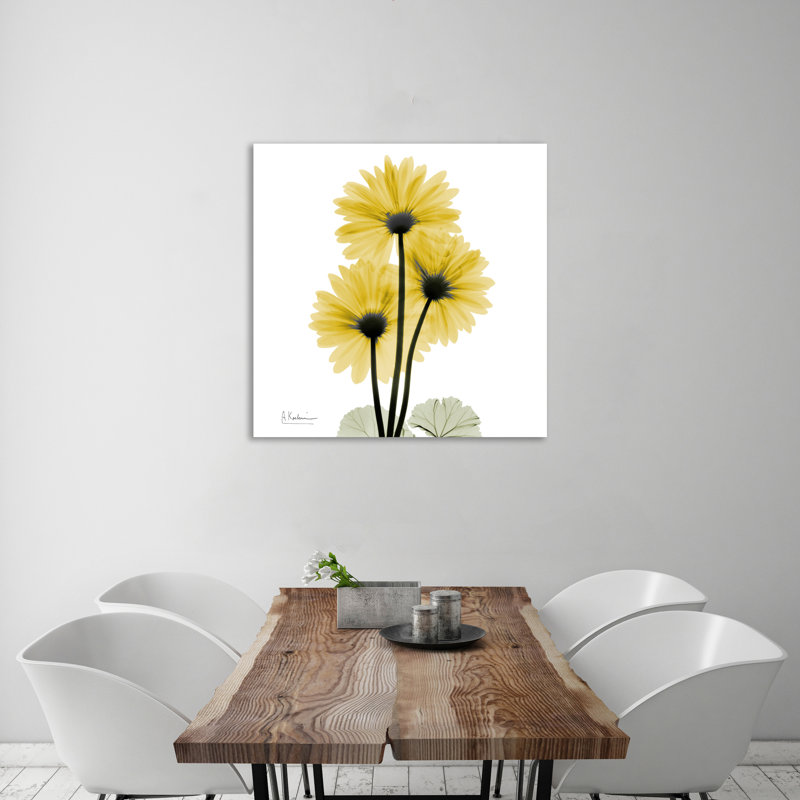 " Golden Gerbera 2 ", 36" H x 36" W x 1.5" D