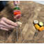 Brochettes et Shish Kebob
