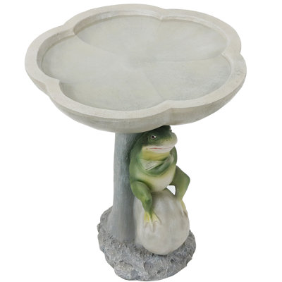 Polyresin Brooding Frog On Stone Outdoor Garden Bird Bath