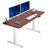 VIVO Motor Electric Desk with Push Button Memory Controller-129479280-129479287