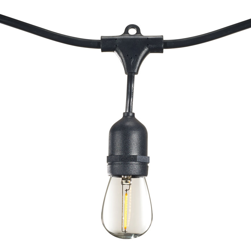 Kantrell 48-ft Outdoor 15 - Bulb Standard String Light (End to End Connectable), LED