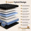 Matelas très ferme de 14 po pour le mal de dos - soutien orthopédique à 7 zones-529906425-529906424