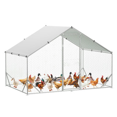 Chicken Run with Wire Mesh