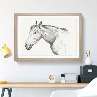 The Head of a Horse by Jean Bernard - Picture Frame Drawing Print