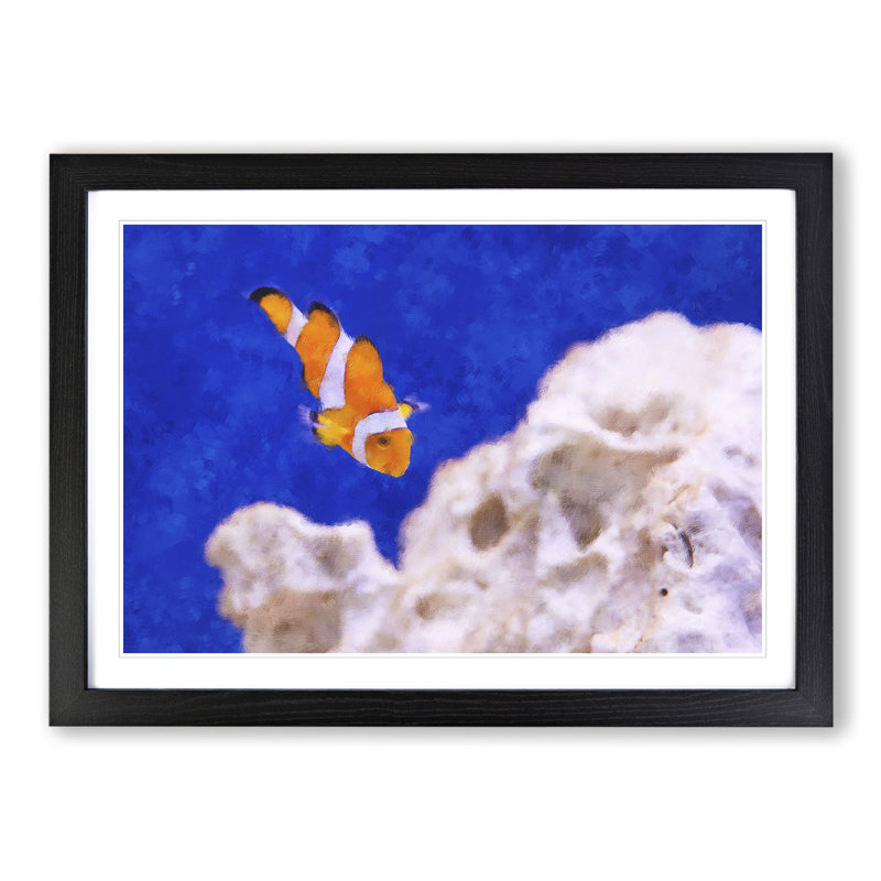 Clownfish Vol.2 - Picture Frame Graphic Art, 27cm H x 36cm W x 2cm D, Black Framed