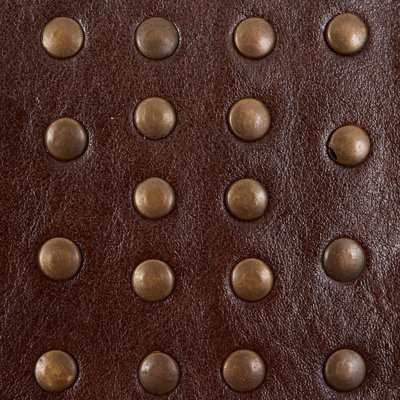 Studded Leather Trim