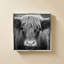 Nez de vache BW-100929014