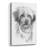 " Pomapoo " by Barbara Keith-1076327162