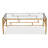 Echeverria Glass Top Single Coffee Table
