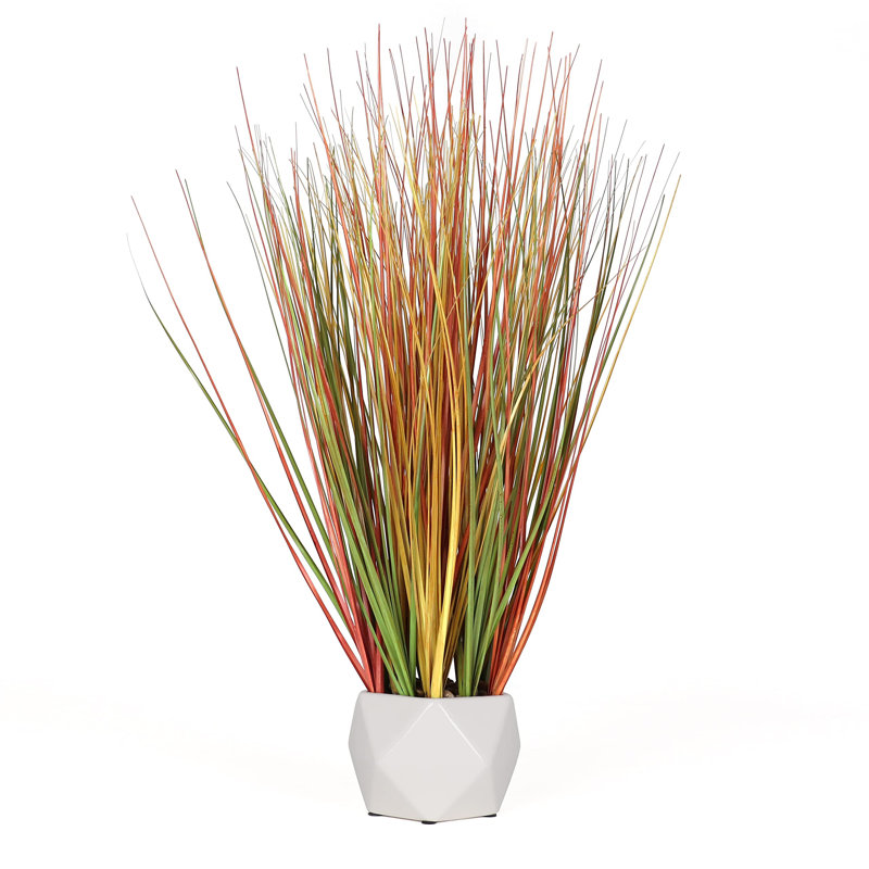 Fausse herbe à oignon en pot 22,5 po Bornbridge, Rouge