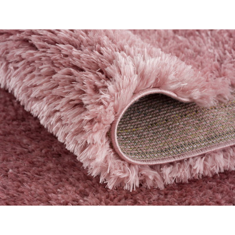 Tapis rose Julia, Rectangle 8 pi x 10 pi