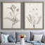 «Neutral Botanical Study VIIP», reproduction d'art encadrée - prête à être accrochée-559107752-559107760-558944093
