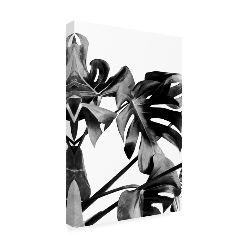 Art sur toile noir, noir et blanc, 12" H x 19" W