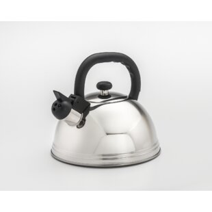 Bodum Ottoni Electric Water Kettle, 34 Ounce, Stainless Steel Chrome 