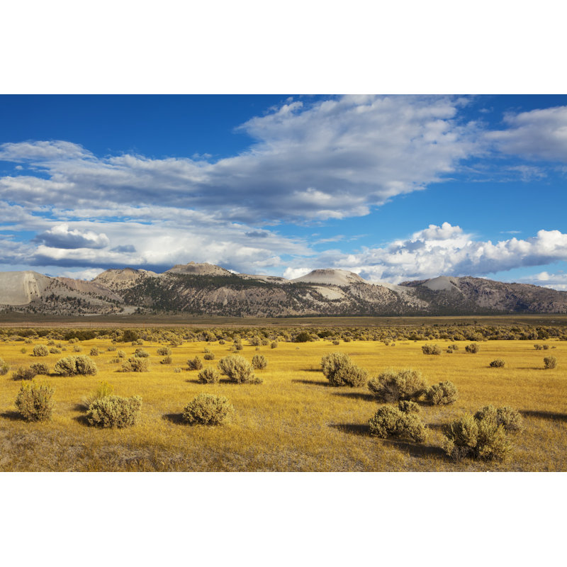 Landscape Near Mono Lake by LucynaKoch - Wrapped Canvas Print, 81cm H x 122cm W x 3.8cm D