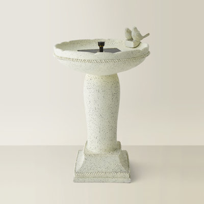Birdbath Fountain with Lights