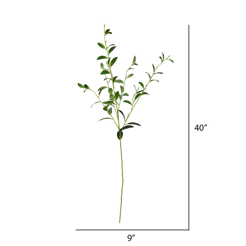 Leaf Arrangement