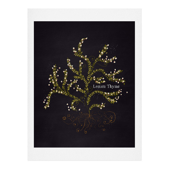 « herb jardin citron thyme », impression, H 14 po x l 11 po x P 0,13 po