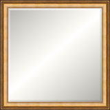 Roslyn Solid Wood Beveled Mirror