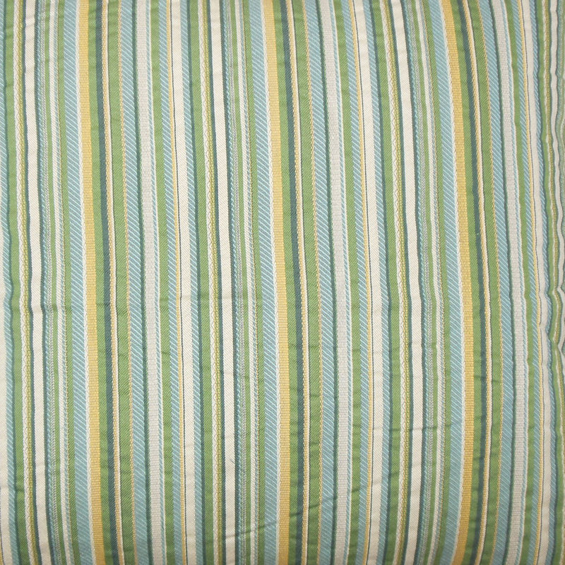 Striped Feather Reversible Throw Pillow, 20" H x 20" W x 5" D, Meadow