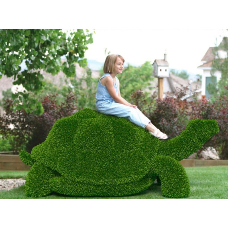 Tortue animalière extérieure