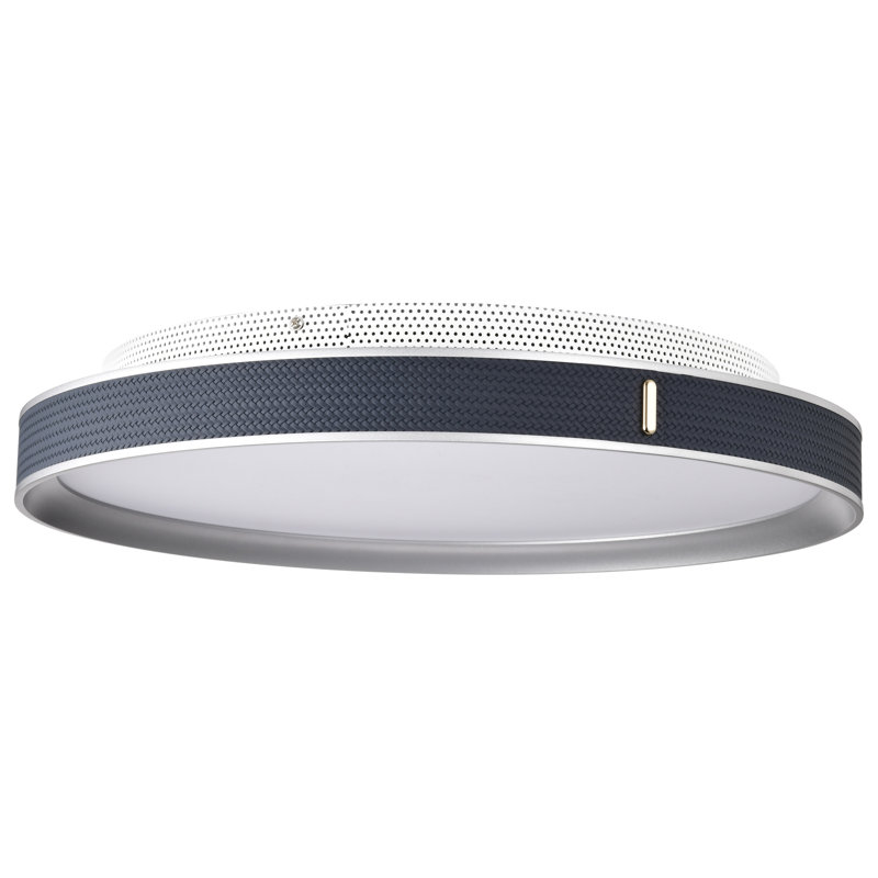 Bandon - 20 Inch LED Flush Mount - Acrylic Lens, Blue