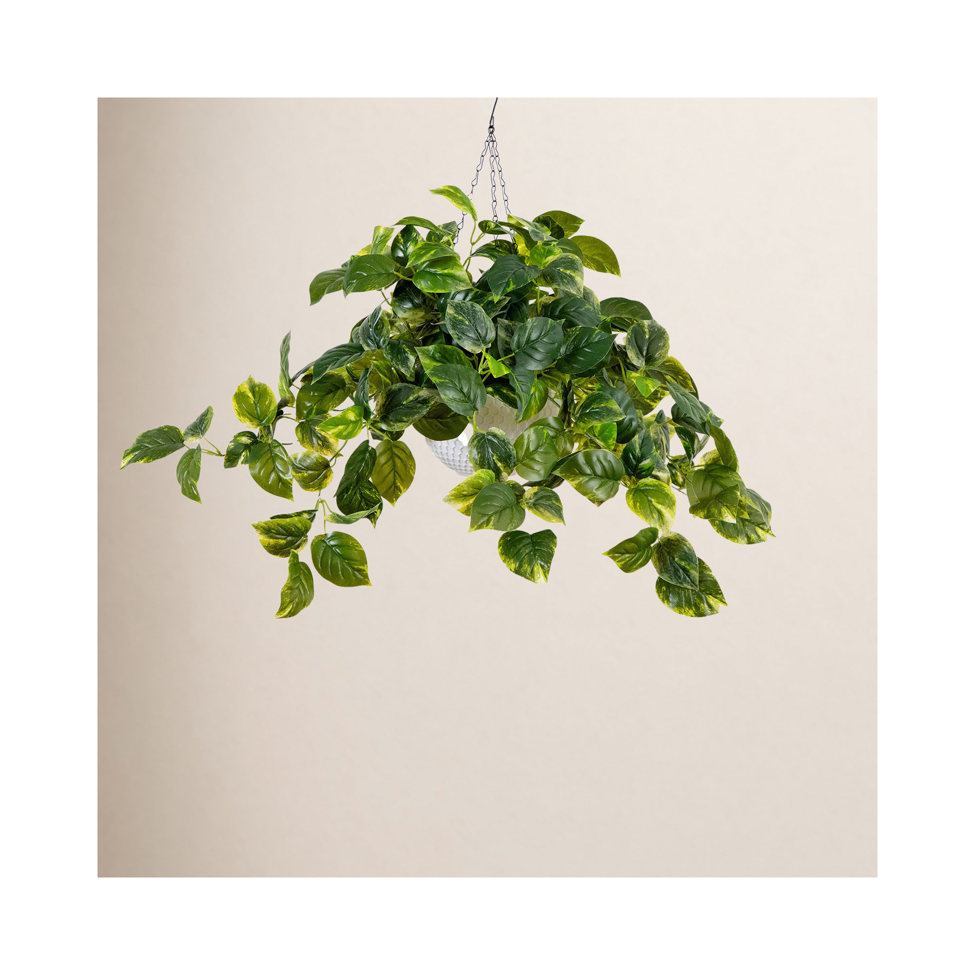 24in. UV Resistant Artificial Pothos with 50 Warm White LED Lights in White Hanging Basket (Indoor/Outdoor)