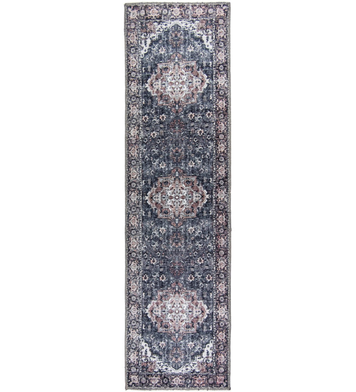 Jesenya Washable Oriental Indoor / Outdoor Rug, Runner 2' x 6'