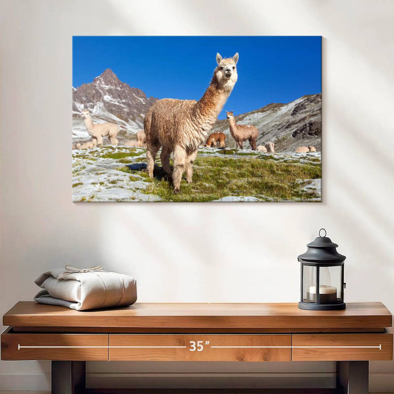 Brampt Woolly Andes Llamas, 16" H x 24" W