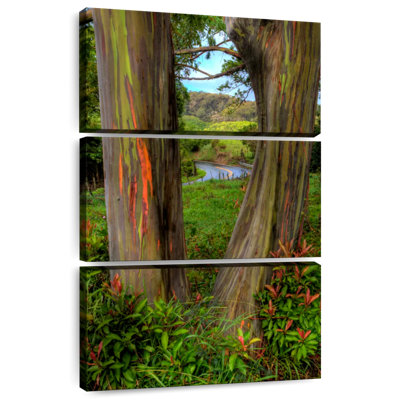 Harnek Roadside Rainbow Eucalyptus