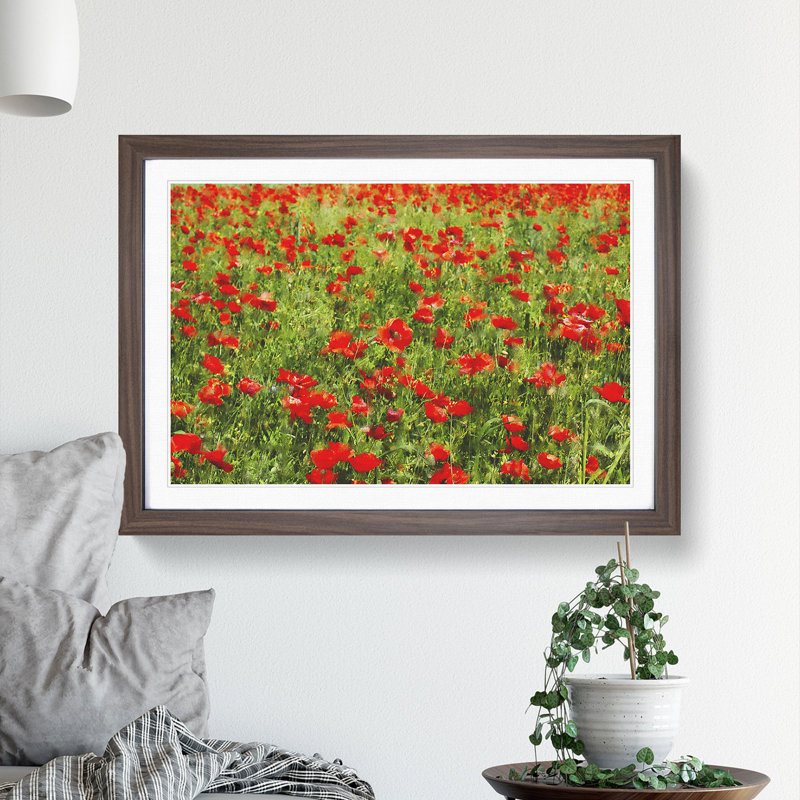 Field of Poppies Vol.2 - Framed Print, 36cm H x 48cm W x 2cm D, Walnut Framed