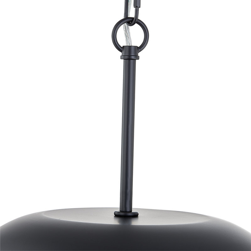 Aldyn Pendant, Matte Black
