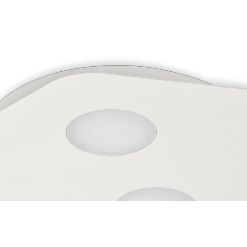 Flush Mount