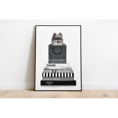 Spitz Pomeranian Dog Animal - Print