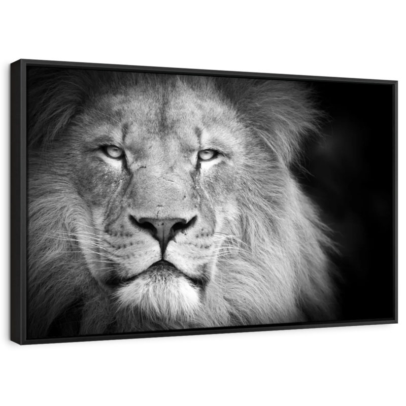 Portrait de lion, reproduction sur toile, H 19 po x l 13 po