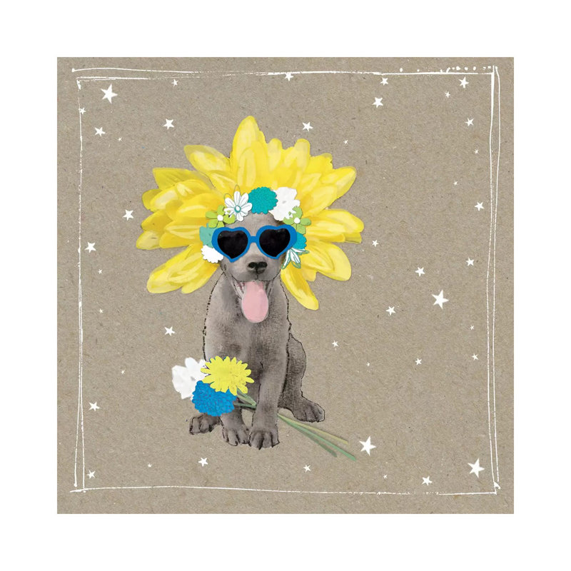 Fancypants Wacky Dogs VI by Hammond Gower - Wrapped Canvas Print, 30.48 cm H x 30.48 cm W