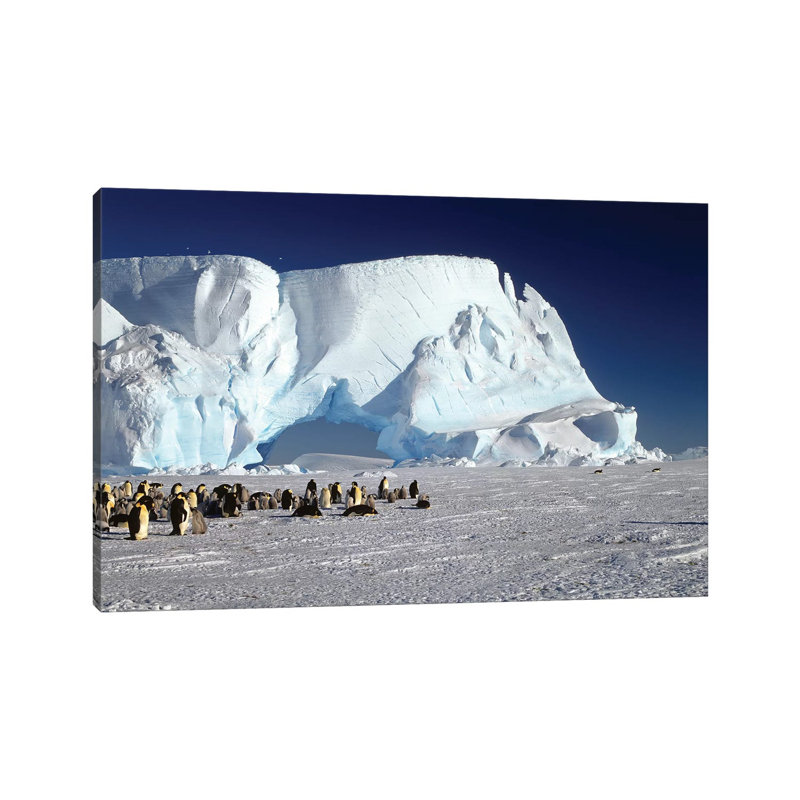 Emperor Penguin Colony And Iceberg, Weddell Sea, Antarctica by Konrad Wothe - Wrapped Canvas Print, 20.32 cm H x 30.48 cm W