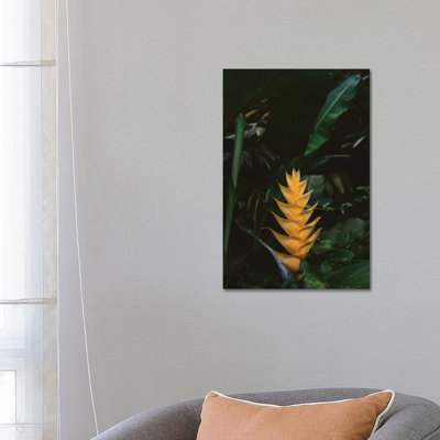 «Tropical Hawaii VIII» par Bethany Young, reproduction de photo sur toile tendue