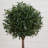 Olive Topiary Artificial Tree