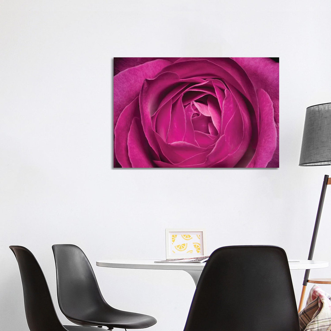 Rose by Glauco Meneghelli - Wrapped Canvas Photograph