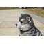 STATUE CHIOT MALAMUTE